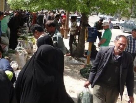 تاراج طبیعت در بازار یاسوج