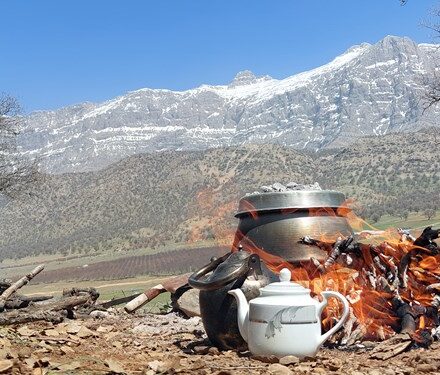 روز طبیعت در سیسخت+تصویر و فیلم