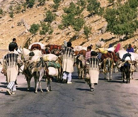 زمان کوچ عشایر کهگیلویه و بویراحمد اعلام شد