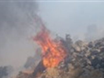 آتش سوزی در جنگل‌های شهرستان باشت مهار شد