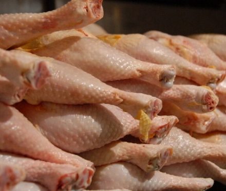 قیمت رسمی مرغ اعلام شد: ۷۳ هزار تومان / وزارت کشاورزی: مرغ را گرانتر از این قیمت نخرید