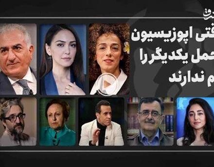 فیلم/ وقتی اپوزیسیون تحمل یکدیگر را هم ندارند