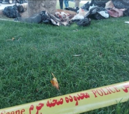 کشف جسد تکه تکه شده زن جوان داخل چند پلاستیک زباله در میدان آزادی تهران