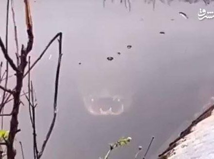 فیلم/ هر چی بیشتر نگاه کنی ترسناک‌تر میشه!