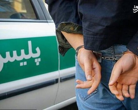 فیلم/ دستگیری ۵ بلاگر معروف به اتهام شرارت و شمشیرکشی