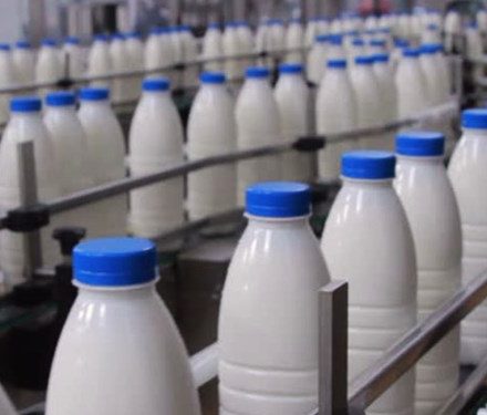مخالفت با افزایش قیمت شیر در کهگیلویه کهگیلویه و بویراحمد