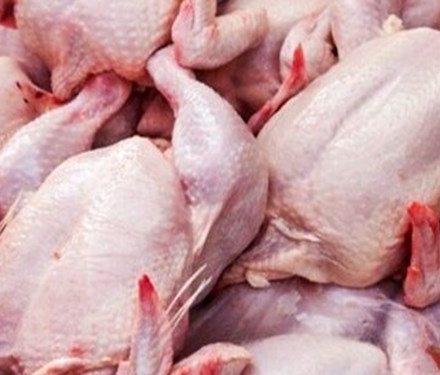 چرا قیمت مرغ در کهگیلویه و بویراحمد از سایر استان‌ها گرانتر است؟