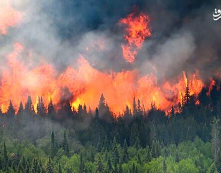 فیلم/ آتش سوزی هولناک جنگل‌های کانادا