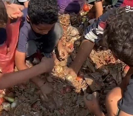 فیلم/ کودکان غزه در حال جستجوی غذا در میان زبالهها برای زنده ماندن