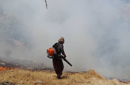 مهار آتش جنگل‌های کوه ماغر شهرستان بهمئی
