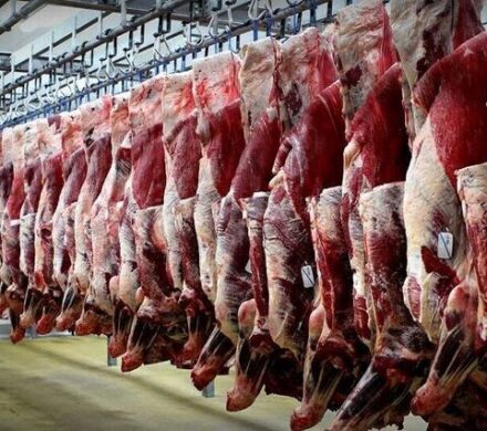 قیمت گوشت قرمز در کهگیلویه و بویراحمد اعلام شد