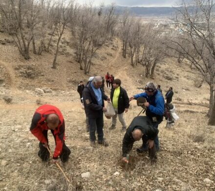 کوهنوردان یاسوجی ۲۰ هکتار درخت کاشتند