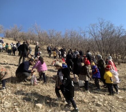 دانش‌آموزان کهگیلیویه و بویراحمد به نام «پدر» درخت کاشتند