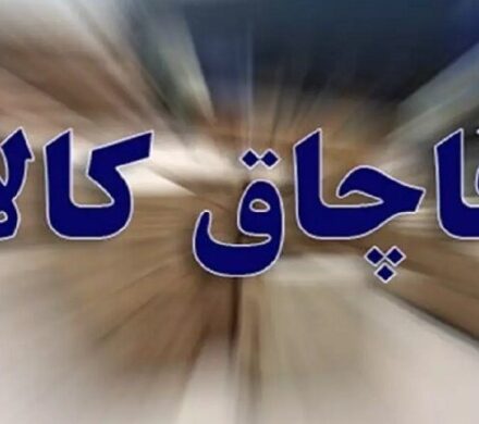 جریمه ۱۸ میلیارد ریالی قاچاقچی در یاسوج