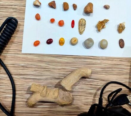 کشف و ضبط ۱۲شی تاریخی در شهرستان بهمئی