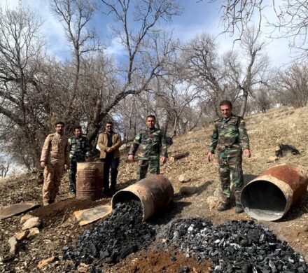 شناسایی و انهدام باند قاچاق زغال در شهرستان بویراحمد