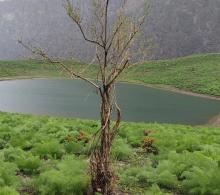 کوه گل سی سخت