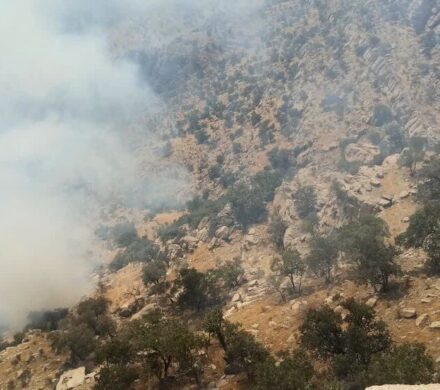 آتش‌سوزی جنگل‌های «گناوه» گچساران در پی تیراندازی تفریحی