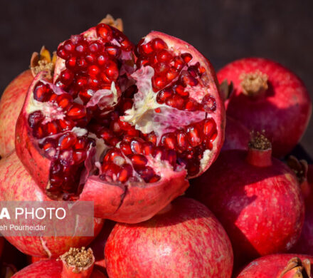 نخستین جشنواره انار در روستای «مارین» گچساران برگزار می شود