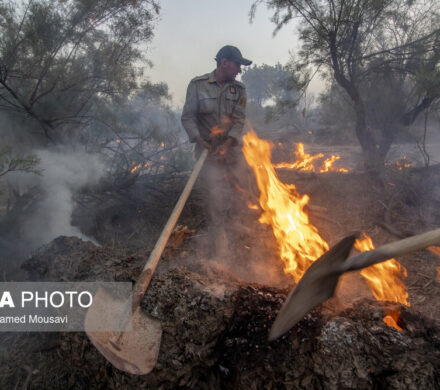 بیش از ۹۰درصد آتش‌سوزی‌ جنگل‌های کهگیلویه و بویراحمد ریشه انسانی دارند