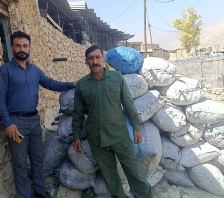 کشف ۴۰۰ کیلوگرم زغال قاچاق در شهرستان باشت