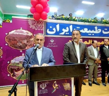 هفتمین دوره المپیاد ورزشی دختران کشور در رشته هندبال به میزبانی کهگیلویه و بویراحمد آغاز شد