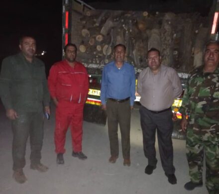 کامیونی با ۱۰تن چوب قاچاق در شهرستان دنا توقیف شد