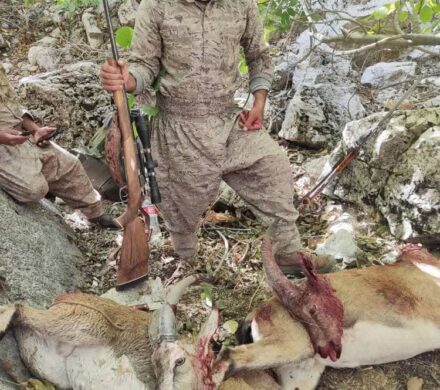 شکارچی متخلف حرفه‌ای دنای شرقی دستگیر شد