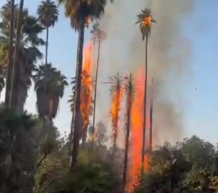ماجرای آتش‌سوزی در باغ گردشگری چشمه بلقیس چرام