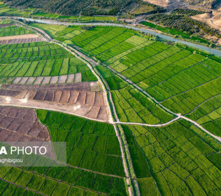 رفع تداخل ۱۰۵ هزار هکتار از اراضی کشاورزی کهگیلویه و بویراحمد