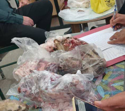 کشف محموله سنگین شکار غیرمجاز از دنا