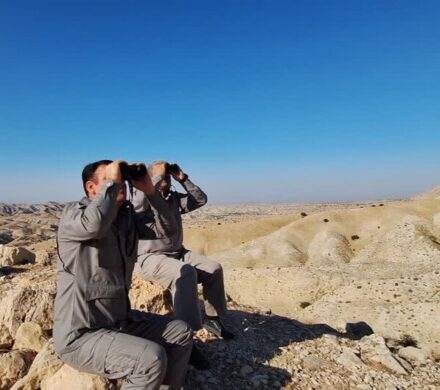 آغاز شمارش حیات وحش مناطق تحت مدیریت محیط زیست در ۵ شهرستان گرمسیری کهگیلویه و بویراحمد
