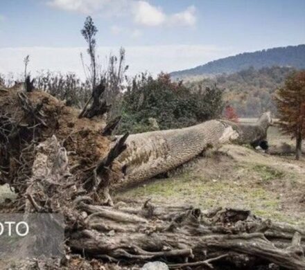 دریاچه الندان در معرض خطر خشکی