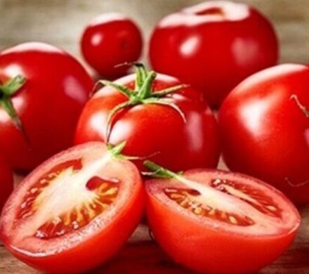 کدام خوراکی‌ها بیشترین افزایش قیمت را داشتند؟