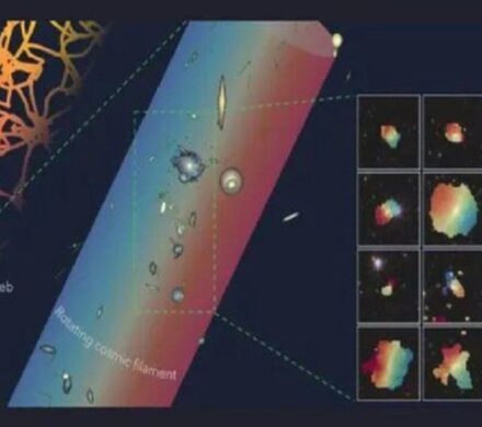 یک رشته عظیم کیهانی به طول ۵۰ میلیون سال نوری کشف شد