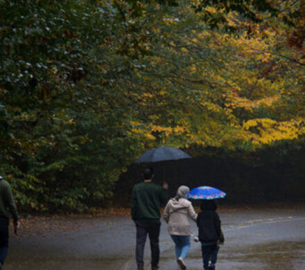 ورود سامانه بارشی به کشور طی فردا