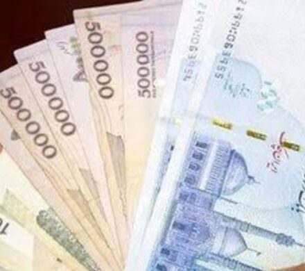 درآمدی بر تثبیت ارزش پول ملی