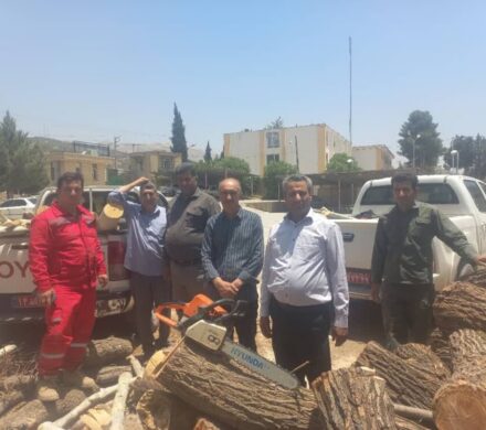 بازداشت ۱۰۱ متخلف در زمینه قطع درخت و قاچاق چوب در کهگیلویه و بویراحمد