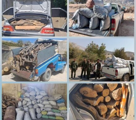 دستگیری قاچاقچیان چوب و ذغال در دل کولاک و باران کهگیلویه و بویراحمد