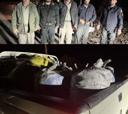 توقف یک محموله زغال قاچاق در حاشیه منطقه حفاظت‌شده دنا