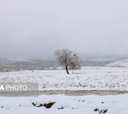 بارش نخستین برف پاییزی در یاسوج