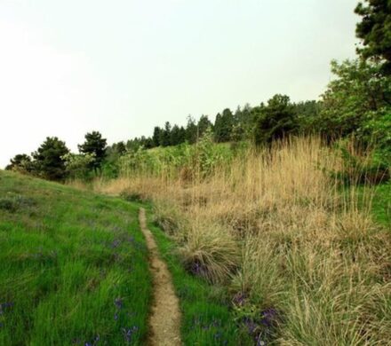 ماجرای سرقت شبانه از کلینیک پردیسان چه بود؟