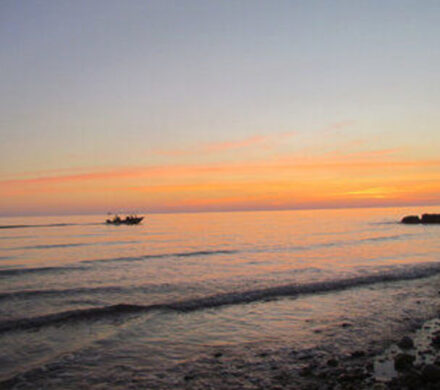 سیراف نماد شکوه تجارت دریایی ایران از ساسانیان تا امروز است